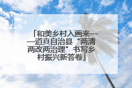 和美乡村入画来——道真自治县“两清两改两治理”书写乡村振兴新答卷