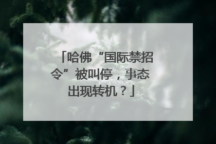 哈佛“国际禁招令”被叫停，事态出现转机？