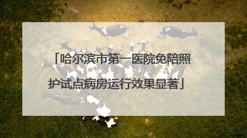 哈尔滨市第一医院免陪照护试点病房运行效果显著