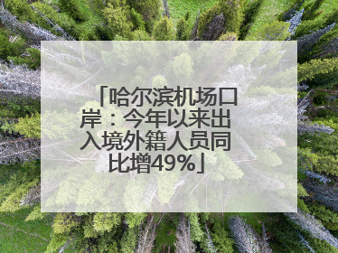 哈尔滨机场口岸：今年以来出入境外籍人员同比增49%