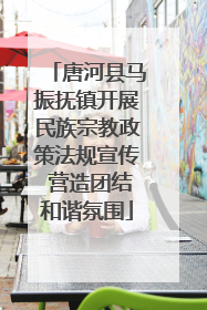 唐河县马振抚镇开展民族宗教政策法规宣传 营造团结和谐氛围