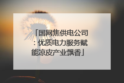 国网焦供电公司：优质电力服务赋能凉皮产业飘香