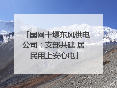 国网十堰东风供电公司：支部共建 居民用上安心电