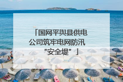 国网平舆县供电公司筑牢电网防汛“安全堤”