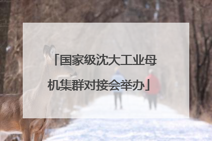 国家级沈大工业母机集群对接会举办