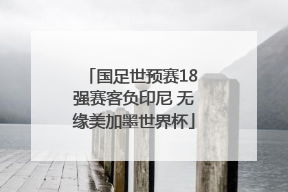 国足世预赛18强赛客负印尼 无缘美加墨世界杯