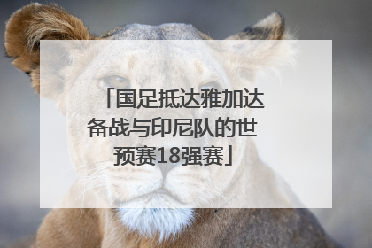 国足抵达雅加达备战与印尼队的世预赛18强赛