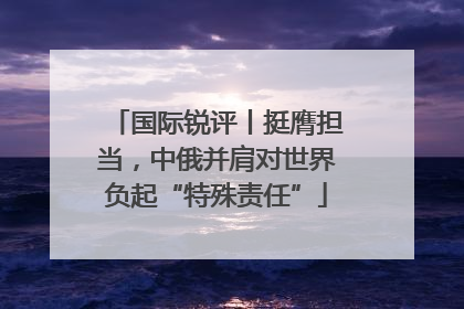 国际锐评丨挺膺担当，中俄并肩对世界负起“特殊责任”