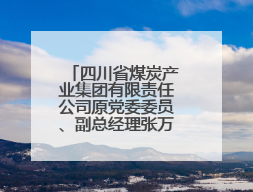 四川省煤炭产业集团有限责任公司原党委委员、副总经理张万松 接受纪律审查和监察调查