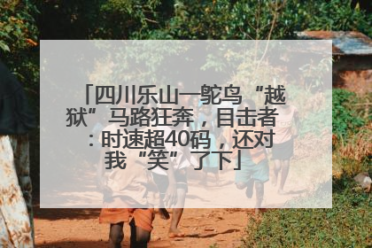 四川乐山一鸵鸟“越狱”马路狂奔，目击者：时速超40码，还对我“笑”了下