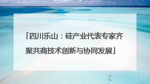 四川乐山：硅产业代表专家齐聚共商技术创新与协同发展