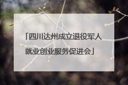 四川达州成立退役军人就业创业服务促进会