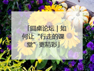圆桌论坛｜如何让“行走的课堂”更精彩