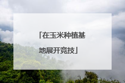 在玉米种植基地展开竞技