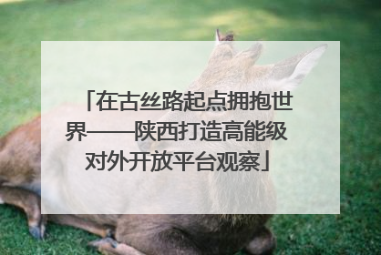 在古丝路起点拥抱世界——陕西打造高能级对外开放平台观察