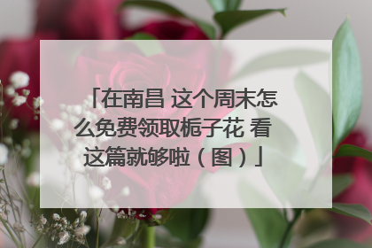 在南昌 这个周末怎么免费领取栀子花 看这篇就够啦（图）