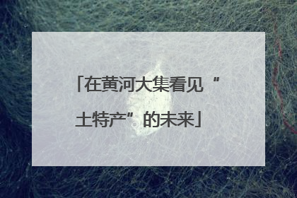 在黄河大集看见“土特产”的未来