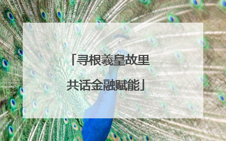 寻根羲皇故里 共话金融赋能