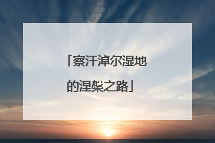 察汗淖尔湿地的涅槃之路