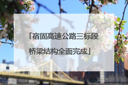 宿固高速公路三标段桥梁结构全面完成