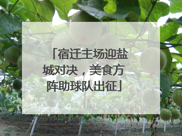 宿迁主场迎盐城对决，美食方阵助球队出征