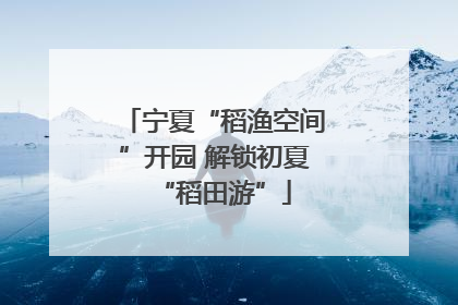 宁夏“稻渔空间”开园 解锁初夏“稻田游”