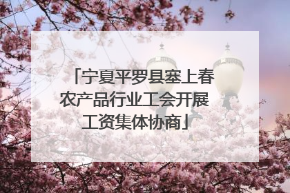 宁夏平罗县塞上春农产品行业工会开展工资集体协商