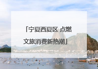 宁夏西夏区 点燃文旅消费新热潮