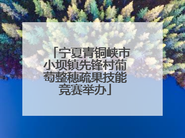 宁夏青铜峡市小坝镇先锋村葡萄整穗疏果技能竞赛举办