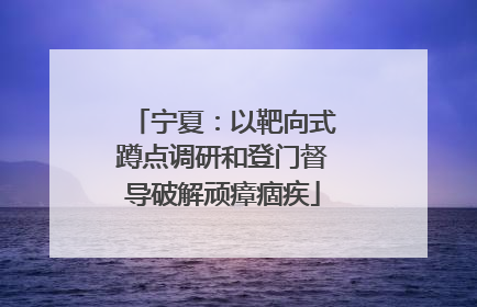 宁夏：以靶向式蹲点调研和登门督导破解顽瘴痼疾
