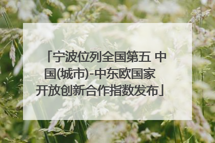 宁波位列全国第五 中国(城市)-中东欧国家开放创新合作指数发布