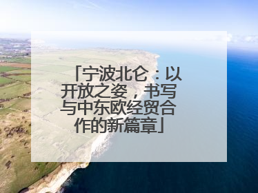 宁波北仑：以开放之姿，书写与中东欧经贸合作的新篇章