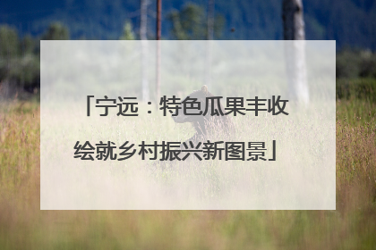 宁远：特色瓜果丰收绘就乡村振兴新图景