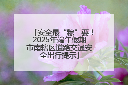 安全最“粽”要！2025年端午假期市南辖区道路交通安全出行提示