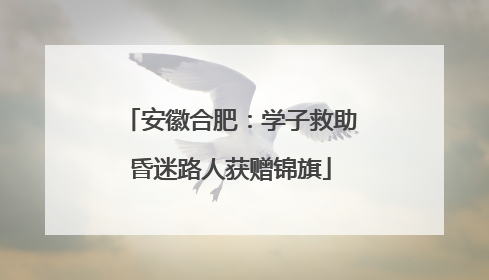 安徽合肥：学子救助昏迷路人获赠锦旗