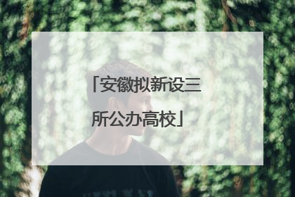 安徽拟新设三所公办高校