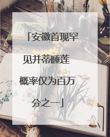 安徽首现罕见并蒂睡莲 概率仅为百万分之一
