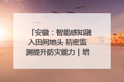 安徽：智能感知融入田间地头 精密监测提升防灾能力｜增发国债气象项目落地见效系列报道