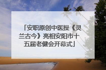 安职原创中医操《灵兰古今》亮相安阳市十五届老健会开幕式