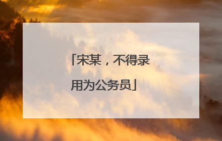 宋某，不得录用为公务员