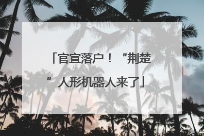 官宣落户！“荆楚”人形机器人来了