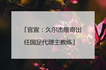 官宣：久尔杰维奇出任国足代理主教练