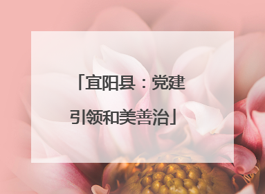 宜阳县：党建引领和美善治
