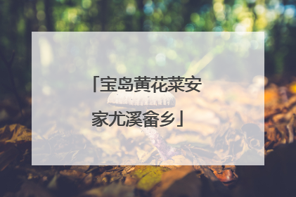 宝岛黄花菜安家尤溪畲乡
