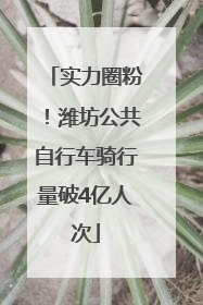 实力圈粉！潍坊公共自行车骑行量破4亿人次