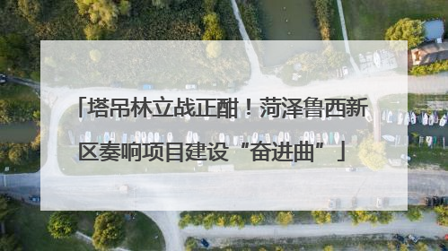 塔吊林立战正酣！菏泽鲁西新区奏响项目建设“奋进曲”