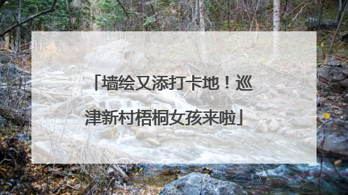 墙绘又添打卡地！巡津新村梧桐女孩来啦