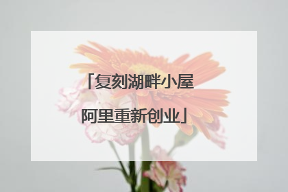 复刻湖畔小屋 阿里重新创业