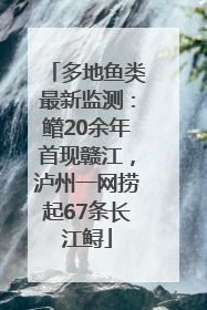 多地鱼类最新监测：鳤20余年首现赣江，泸州一网捞起67条长江鲟