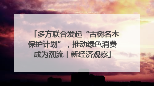 多方联合发起“古树名木保护计划”，推动绿色消费成为潮流丨新经济观察